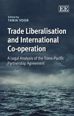 bokomslag Trade Liberalisation and International Co-operation