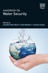 bokomslag Handbook on Water Security
