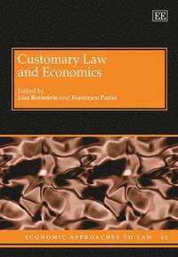 bokomslag Customary Law and Economics