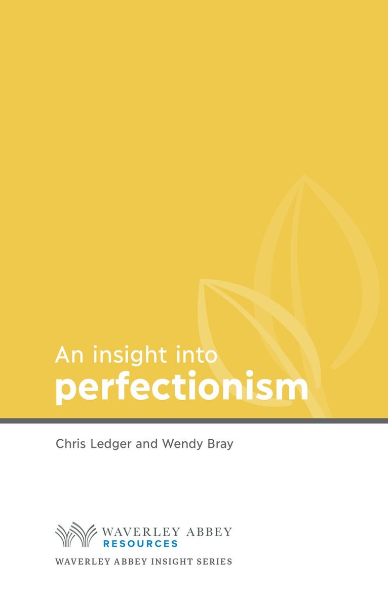 Christine Ledger - Insight into Perfectionism, Häftad