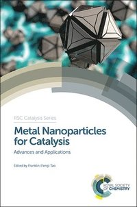 bokomslag Metal Nanoparticles for Catalysis