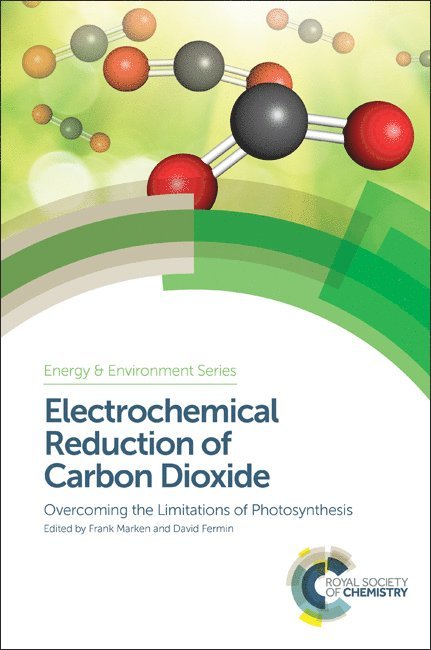 Electrochemical Reduction of Carbon Dioxide 1