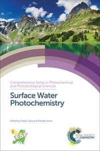 bokomslag Surface Water Photochemistry