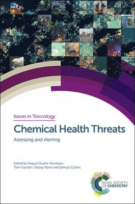 bokomslag Chemical Health Threats