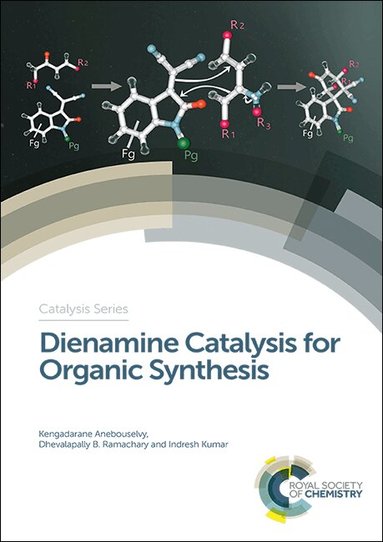 Kengadarane Anebouselvy, Dhevalapally B Ramachary, Indresh Kumar - Dienamine Catalysis for Organic Synthesis, Inbunden