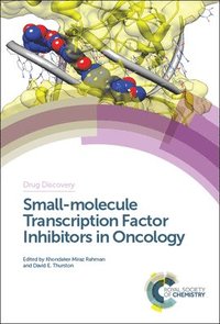 bokomslag Small-molecule Transcription Factor Inhibitors in Oncology