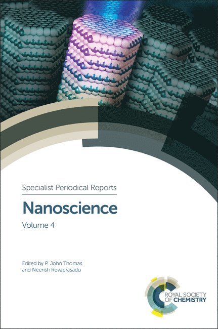 P John Thomas, Neerish Revaprasadu, P. John Thomas - Nanoscience, Inbunden