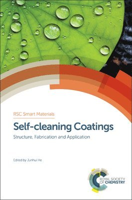 bokomslag Self-cleaning Coatings