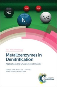 bokomslag Metalloenzymes in Denitrification