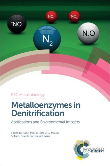 Isabel Moura, José J G Moura, Sofia R Pauleta, Luisa B Maia - Metalloenzymes in Denitrification, Inbunden