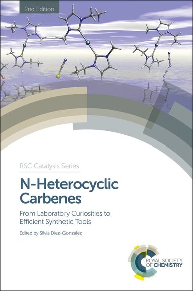 Silvia Diez-Gonzalez - N-Heterocyclic Carbenes, Inbunden