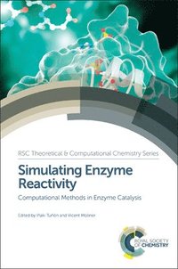 bokomslag Simulating Enzyme Reactivity