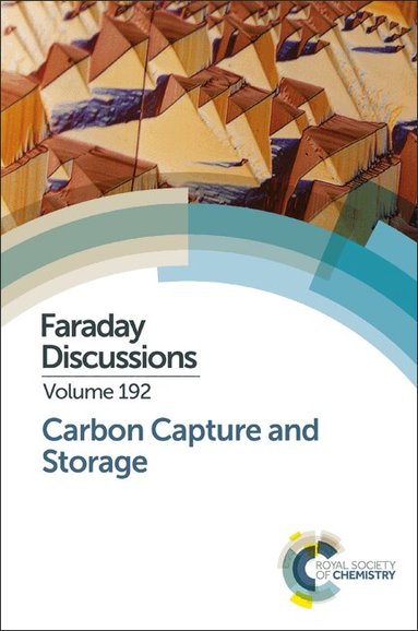 Carbon Capture and Storage, Inbunden