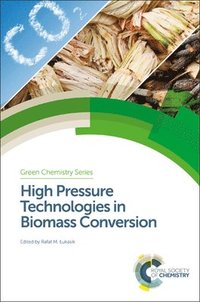 bokomslag High Pressure Technologies in Biomass Conversion