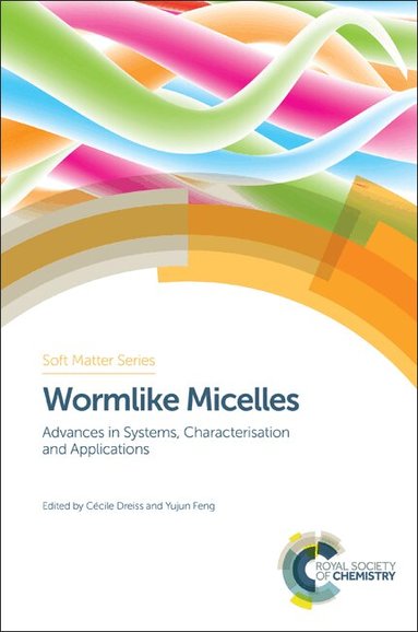 Cecile A Dreiss, Yujun Feng - Wormlike Micelles, Inbunden