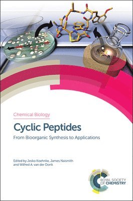 Cyclic Peptides 1