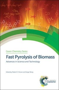 bokomslag Fast Pyrolysis of Biomass