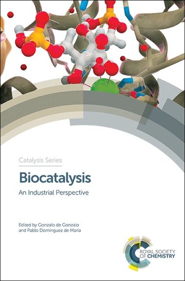 Gonzalo de Gonzalo, Pablo Domínguez de María - Biocatalysis, Inbunden