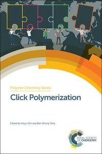 bokomslag Click Polymerization