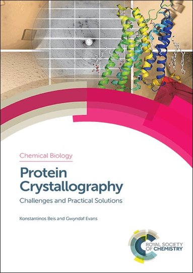 Konstantinos Beis, Gwyndaf Evans - Protein Crystallography, Inbunden