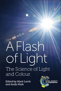 bokomslag A Flash of Light