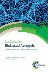 bokomslag Biobased Aerogels