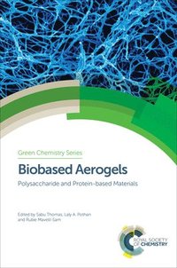 bokomslag Biobased Aerogels