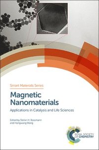 bokomslag Magnetic Nanomaterials
