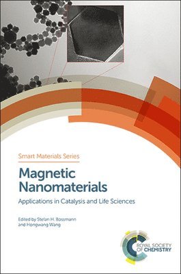 Magnetic Nanomaterials 1