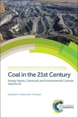 bokomslag Coal in the 21st Century