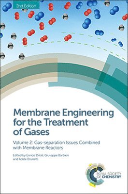 bokomslag Membrane Engineering for the Treatment of Gases