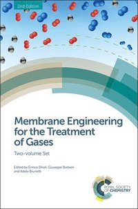 bokomslag Membrane Engineering for the Treatment of Gases