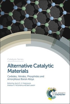 bokomslag Alternative Catalytic Materials
