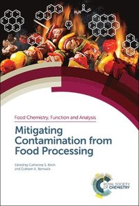 bokomslag Mitigating Contamination from Food Processing