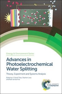 bokomslag Advances in Photoelectrochemical Water Splitting