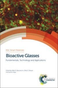 bokomslag Bioactive Glasses