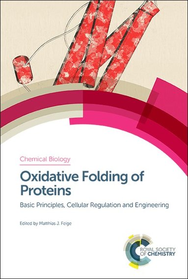 Matthias J Feige - Oxidative Folding of Proteins, Inbunden