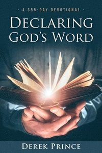 bokomslag Declaring God's Word