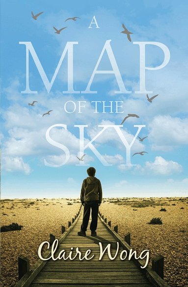 Claire Wong - Map of the Sky, Häftad