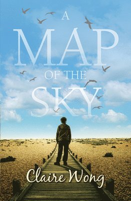 A Map of the Sky 1