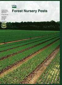 bokomslag Forest Nursery Pests (Agriculture Handbook No. 680)