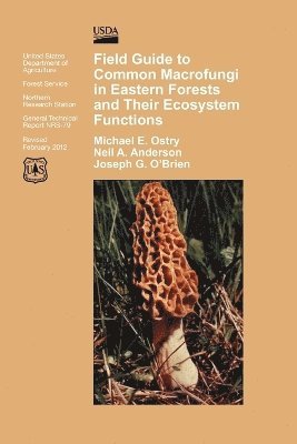 Michael E Ostry, U S Department of Agriculture, Forest Service - Field Guide to Common Macrofungi in Eastern Forests and Their Ecosystem Function, Häftad
