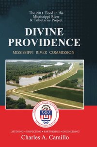 bokomslag Divine Providence