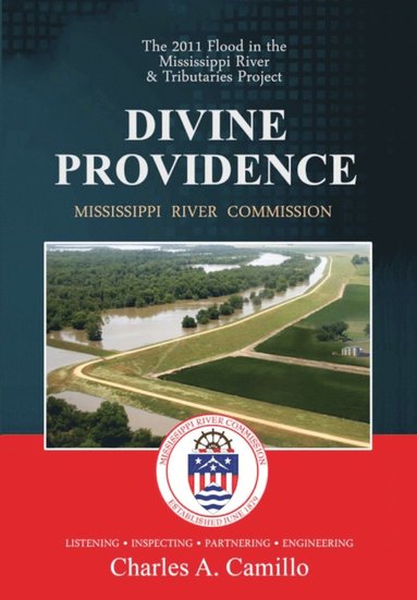 bokomslag Divine Providence