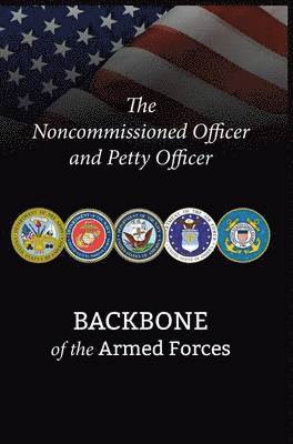 Noncommissioned Officer and Petty Officer 1