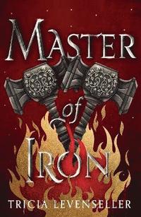 bokomslag Master of Iron