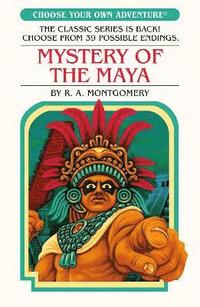 bokomslag Mystery of the Maya