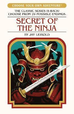 Secret of the Ninja 1