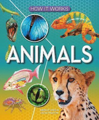 How It Works: Animals