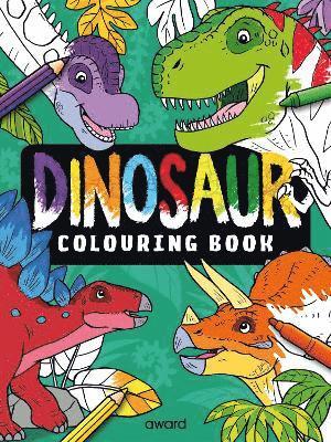 bokomslag Dinosaur Colouring Book